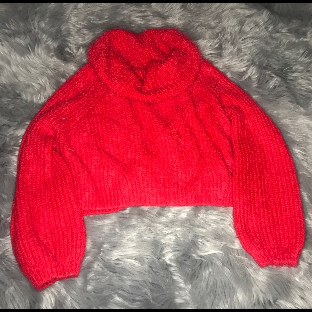 Cropped turtleneck sweater